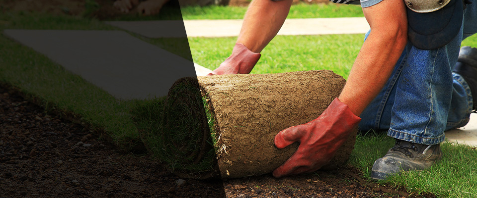 Saukville Landscapers